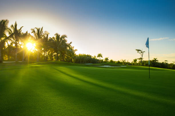 istock Golf course in the tropical island 941681568