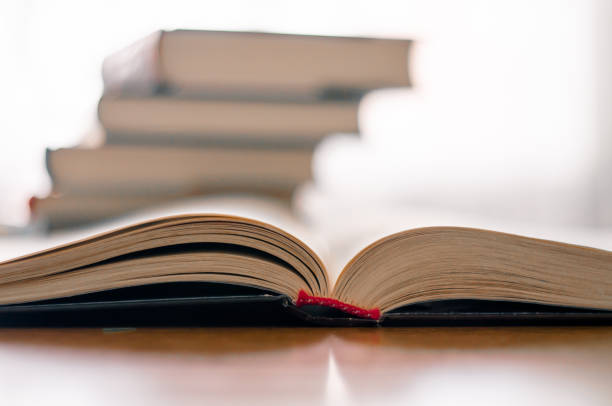 istock Close up of opened book's pages, education 941682800