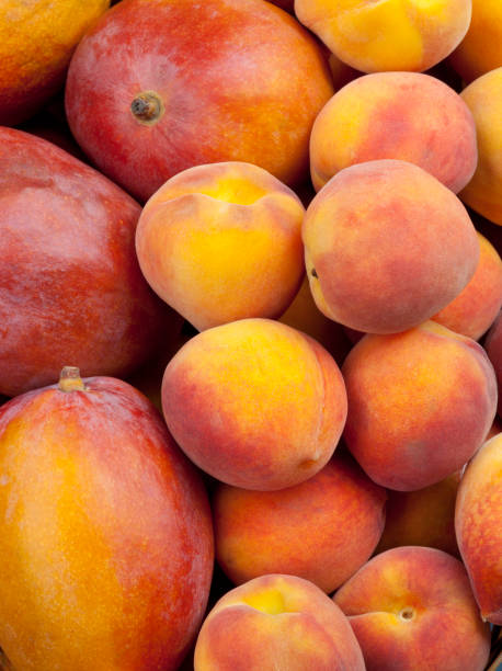 peaches and mango top view - nectarine peach red market imagens e fotografias de stock