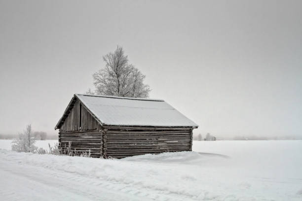 заснеженный сарай дом на дороге - winter finland agriculture barn стоковые фото и изображения