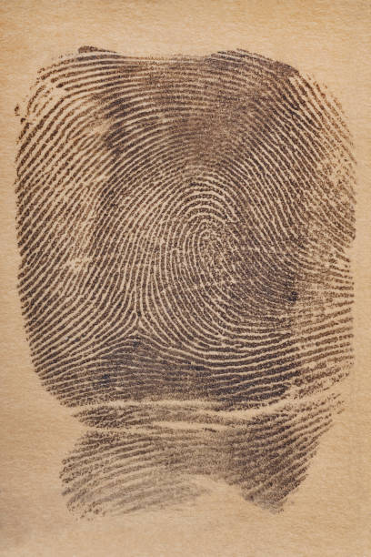 istock Digital ink fingerprint over a textured paper. Security control 941695616