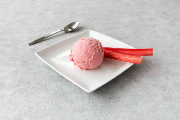 Scoop of homemade rhubarb ice cream and two sticks of pink forced rhubarb on a white plate.