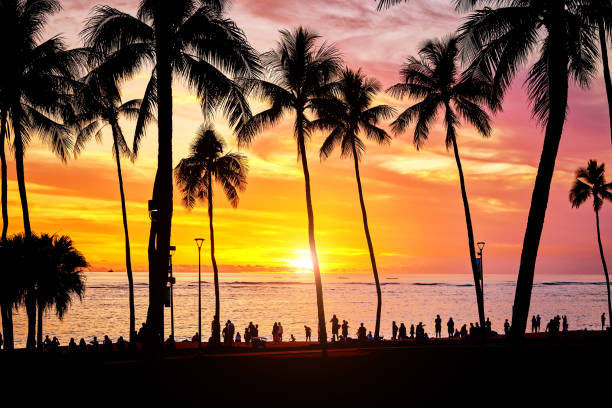 istock Hawaii's Kauai Sunset, USA 941695916