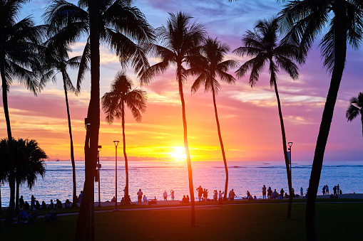 Hawaii's Kauai and palm trees in dramatic sky at Sunset, Hawaii, USA.