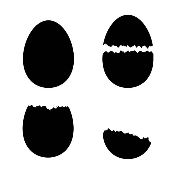 Silhouette Black Shell Eggs Set. Vector Silhouette Black Shell Eggs Set Whole and Cracked View. Vector illustration of Egg or Eggshell egg silhouettes stock illustrations