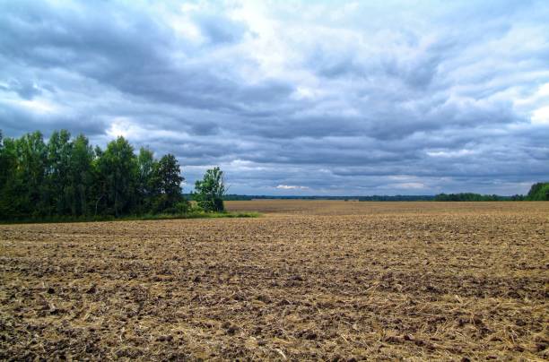 istock Sloping field in autumn in Russia 941699600