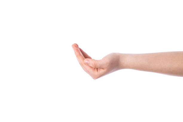 istock Empty young female hand to hold something 941702942