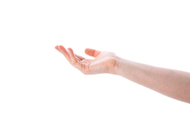 istock Empty female woman hand holding 941705798