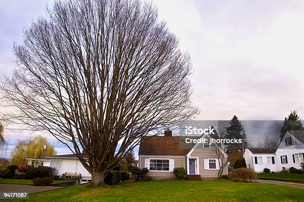 大きな木小さな家 - スモールタウンアメリカのストックフォトや画像を多数ご用意 - スモールタウンアメリカ, 人物なし, 住宅地