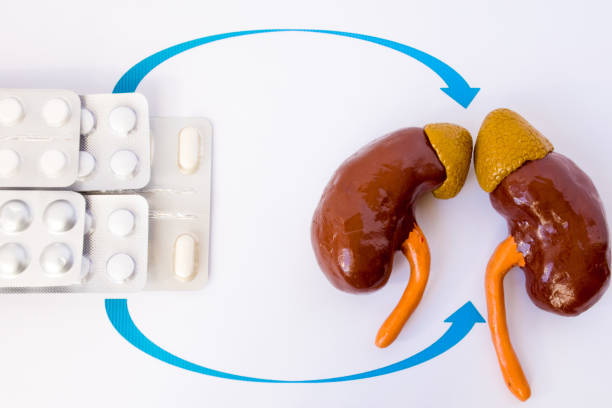 Hormone replacement therapy, hormonal suppression or pharmacological treatment of diseases of adrenal glands or kidneys. Figure of kidneys with adrenals is close to drugs in blisters with arrows terapia de reemplazo hormonal, supresión hormonal o tratamiento farmacológico de las enfermedades de las glándulas suprarrenales o de los riñones. figura de riñones glándulas suprarrenales es cerca de medicamentos en ampollas con flechas