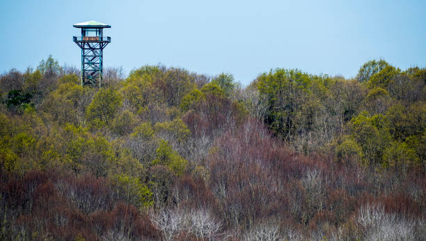 istock Fire watch tower in forest at springtime in Istanbul, Turkey 941712140
