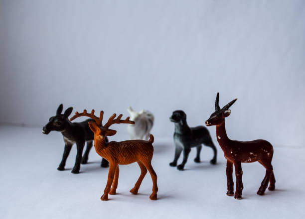 istock a children's toy wild animals 941715178
