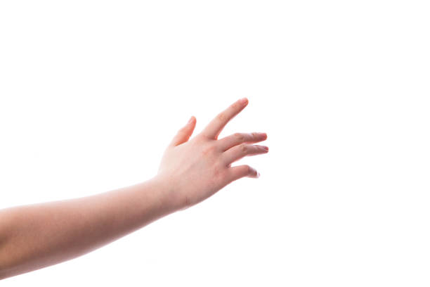 istock Woman hands on white backgrounds 941716060