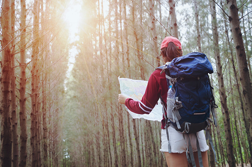Hipster tourist hold and look map on trip, lifestyle concept adventure, traveler with backpack on background forest landscape horizon, young girl hiker pointing hands on trekking plan.
