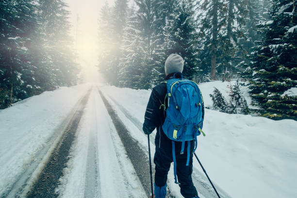 istock Hiker on a trail in the woods 941719922
