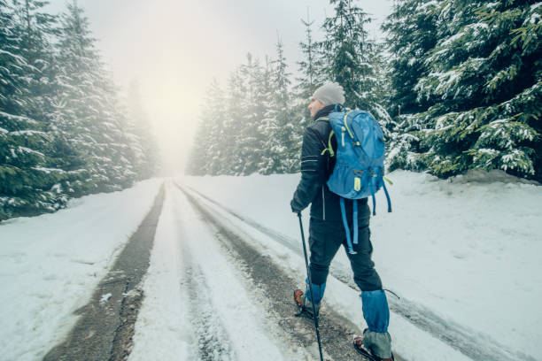 istock Mountain hiker enjoying the view by the road 941719954