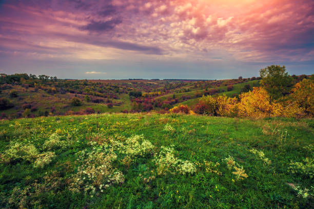 istock Panoramic view of picturesque fields on hills in autumn 941720036