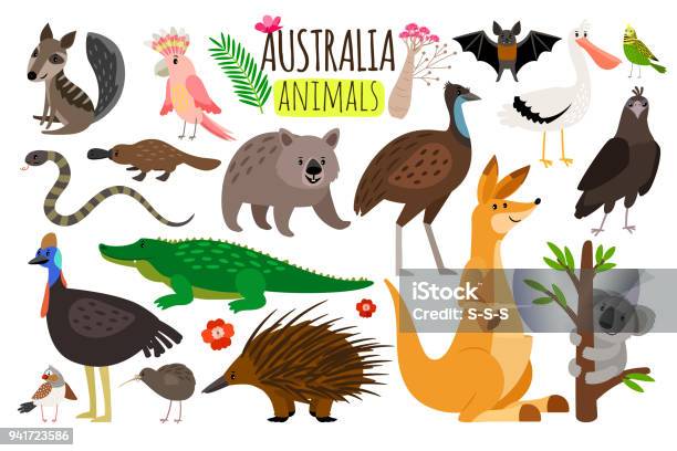 Ilustración de Animales Australianos Iconos Animales Vectores De Emu Australia Canguro Y Koala Wombat Y Avestruz y más Vectores Libres de Derechos de Australia