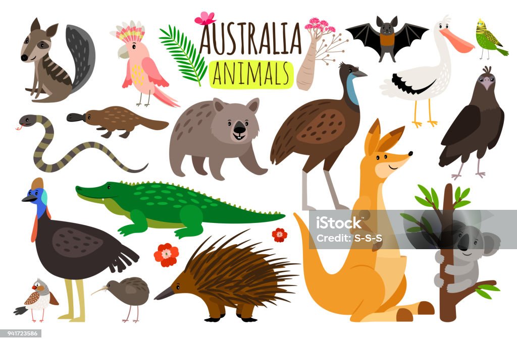 Australian animals. Vector animal icons of Australia, kangaroo and koala, wombat and ostrich emu Australian animals. Vector animal icons of Australia, kangaroo and koala, wombat and ostrich emu, platypus and echidna in cartoon style isolated on white background Australia stock vector