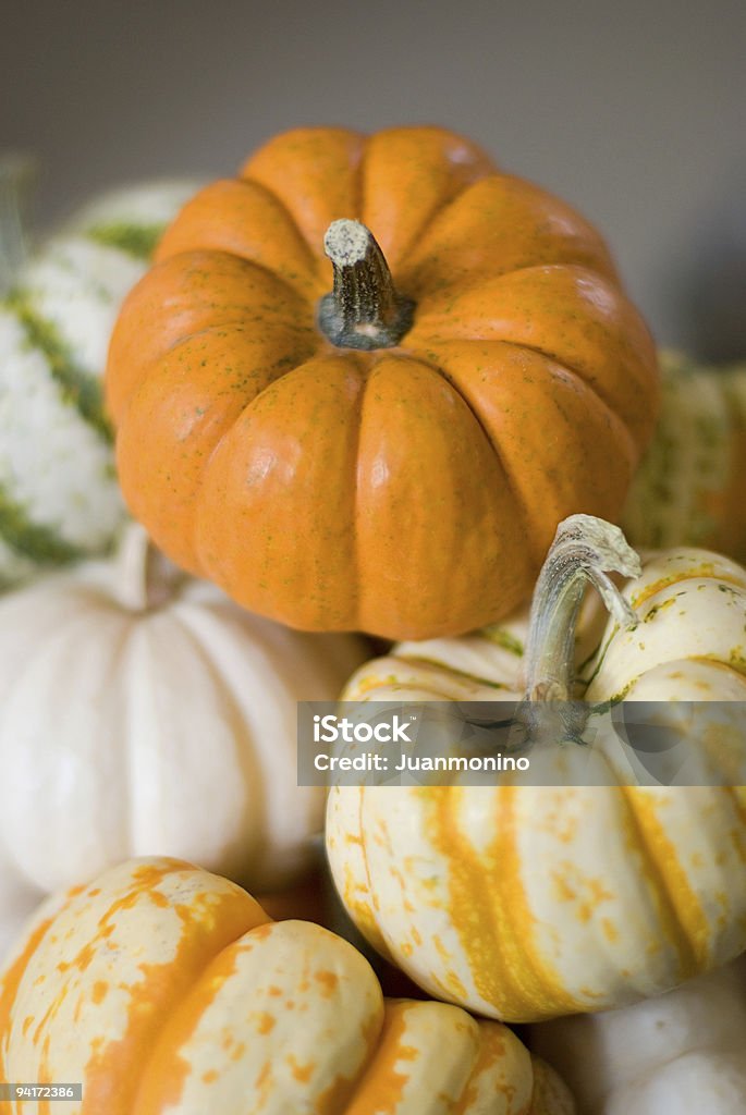 Temporada Gourds - Foto de stock de Abundância royalty-free