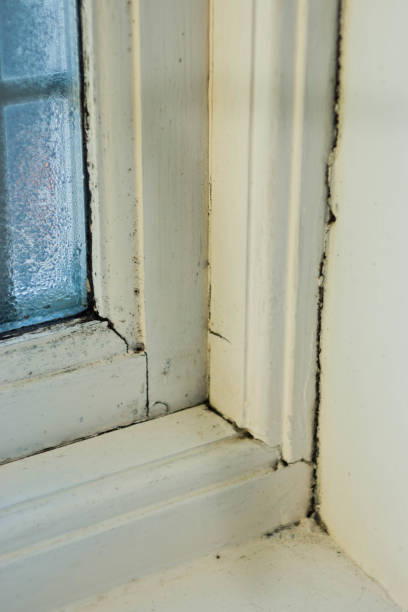 istock Old wooden window with condensation 941724492