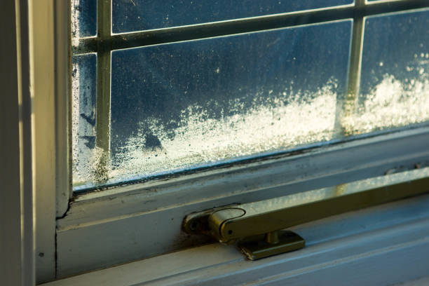 istock Old wooden window with condensation 941724540