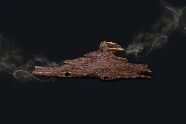 Photo of Close Up Macro Shot Of Sticks Of Agar Wood Or Agarwood Isolated On Black Background  With the smoke The Incense Chips Used For Arabic Oud Oils Or Bakhoor