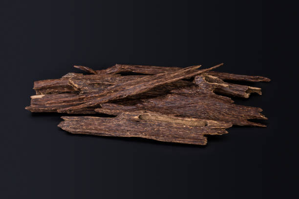 close up macro shot of sticks of agar wood or agarwood isolated on black background the incense chips used by burning it or for arabian oud oils or bakhoor - tree resin imagens e fotografias de stock