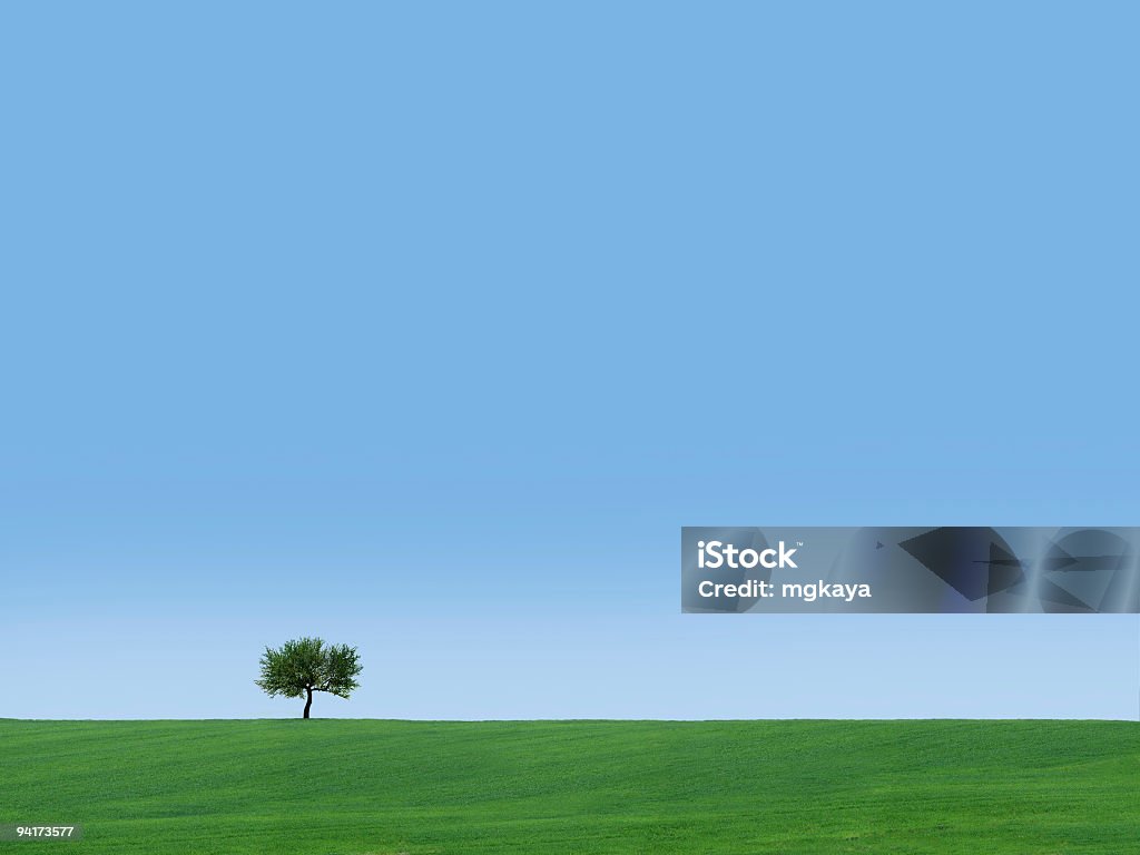 Lonely Tree  Agricultural Field Stock Photo