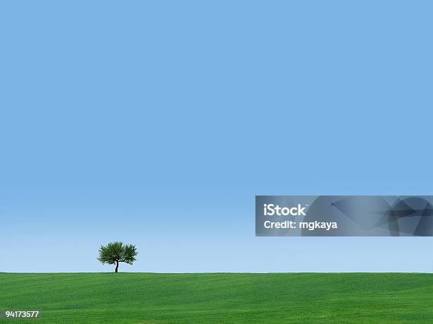 Lonely Tree Stock Photo - Download Image Now - Agricultural Field, Backgrounds, Blue