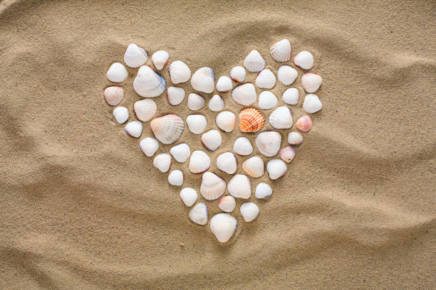 istock Heart made of sea shells and pebbles 941742516