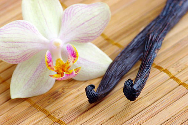 istock Orchid with vanilla beans on the mat 94174911