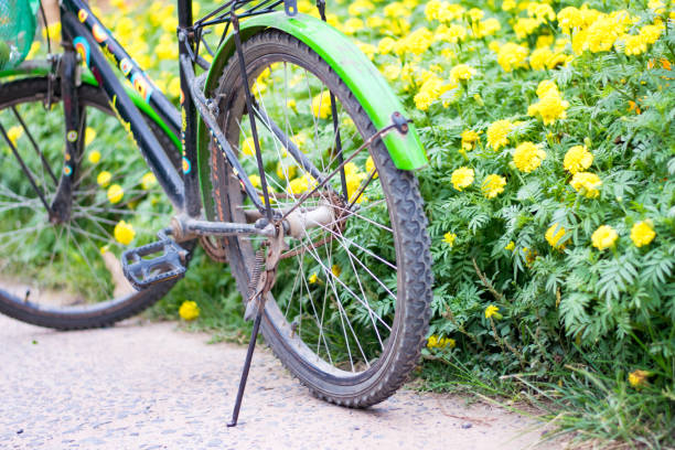 istock close up bikecycle wheel near yellow flower 941749708