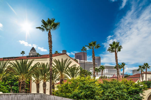istock Palm trees in downtown Los Angeles 941752794
