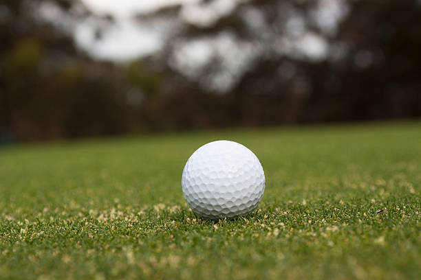 istock Closeup white golf ball on the green with copy space 94175643