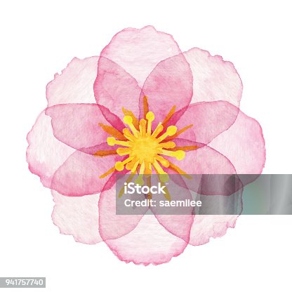 istock Watercolor Pink Flower 941757740