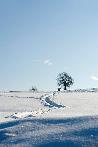 Wintry landscape stock photo