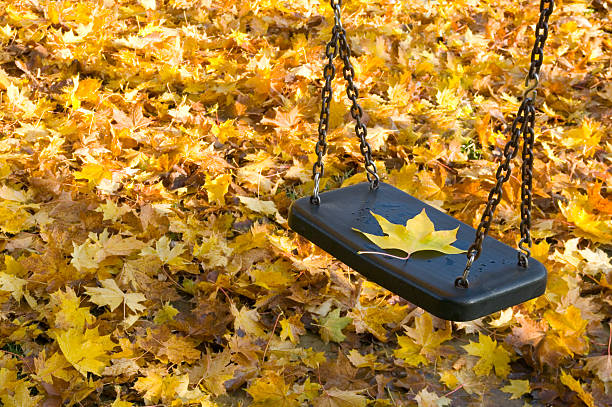 Autumnal leaves stock photo