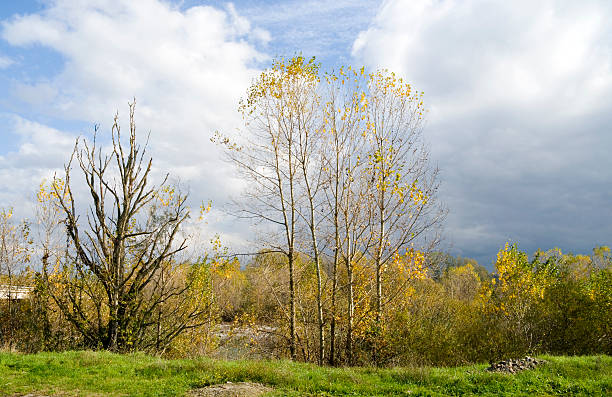 Autumnal landscape stock photo