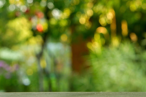 istock wood table over blurred trees with bokeh background 941769912