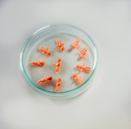 Petri dish with 10 mini half an inch plastic dolls could refer to stemcel research or other unborn child research