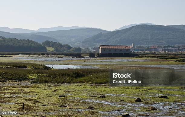 Marisma Wetlands Stock Photo - Download Image Now - Algae, Animal Wildlife, Cantabria