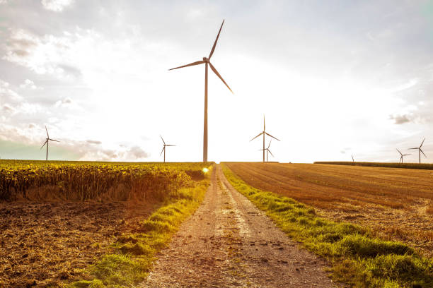 일몰에서 농업 분야에 바람 터빈과 함께 농촌 풍경. 톤의. - wind turbine austria field yellow 뉴스 사진 이미지