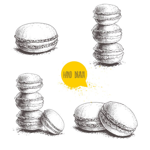 illustrations, cliparts, dessins animés et icônes de dessinés à la main esquisse style français pâtisserie macarons ensemble. collection de pâtisseries pour la conception de menus, des restaurants et des boutiques. illustrations vectorielles isolées sur fond blanc. - macaroon french culture dessert food