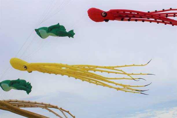 istock Kite Festival 941781852