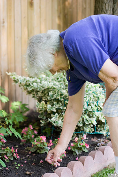 istock Elderly retired lady tending to her garden 94178881