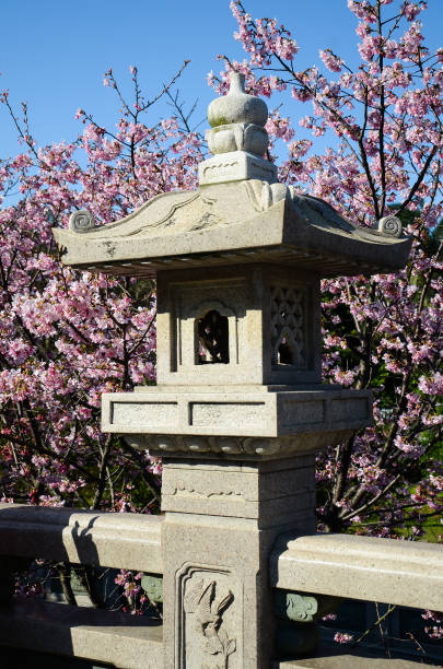 istock Landscape with stone lanterns and cherry blossoms 941793936