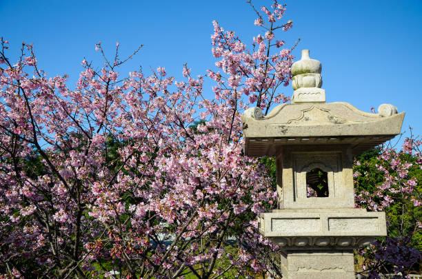 istock Landscape with stone lanterns and cherry blossoms 941793968