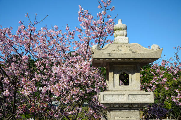 istock Landscape with stone lanterns and cherry blossoms 941793984