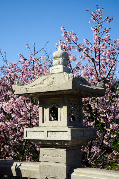 istock Landscape with stone lanterns and cherry blossoms 941794004